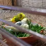 Liebe in allen Lebenslagen