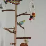 Finn und Bella im Baum