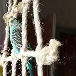 Fernweh