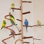 Weihnachtsdeko im Vogelbaum