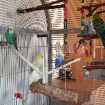 Sitztautest in der Welliburg