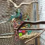 Kletterwand