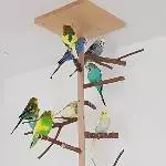 Alle neun Welliburgbewohner