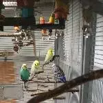Meine Mädels im Solarium