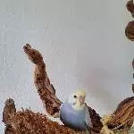 Tim kommt an