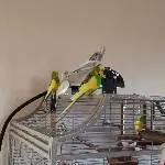 Achtung TÜV-Prüfung