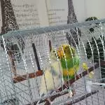 Liebe hinter Gittern