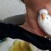 Tobi schaut sich alles an