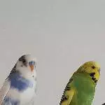 Kiri und Paul