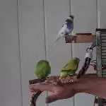 Hm, lecker, solltet ihr probieren