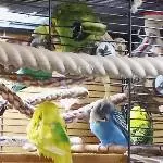 Leon und Felix 