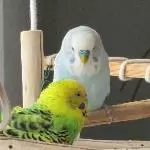 Krümel und Tito