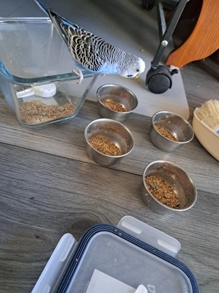 Selbstbedienung