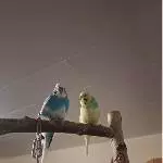 zusammen sitzen ist doch schön oder?
