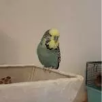 Einmal richtig in Pose setzen