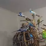 Einmal etwas näher rücken