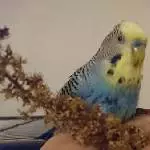 mhmmmmmmlecker