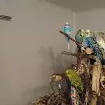 6 auf einen schlag