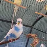Hallo, hier bin ich