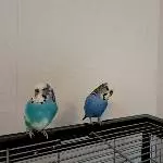 Foto Termin