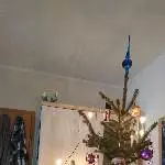 das erste Weihnachtsfest 