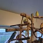 Der Vogelbaum bietet viele Möglichkeiten 