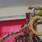 Einer arbeitet, zwei schauen zu