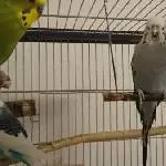 Erster Tag im neuen Heim