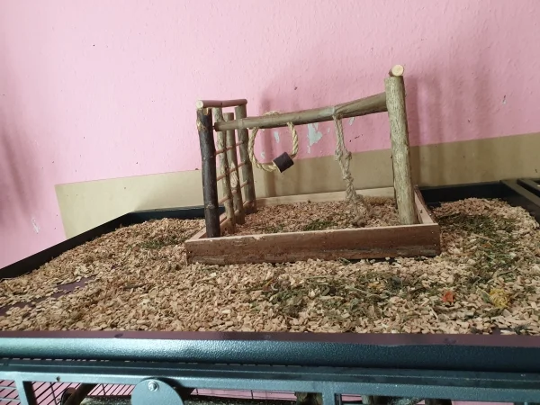 Wellensittich-Bild: Das ist die Wühlkiste auf dem linken Käfigteil. 