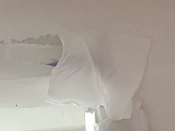 Wellensittich-Bild: Die Zewas hängen eigentlich an der Jalousie, um die Piepser zu verscheuchen. Das klappt nicht wirklich..Wer hat sich hier nur versteckt?
