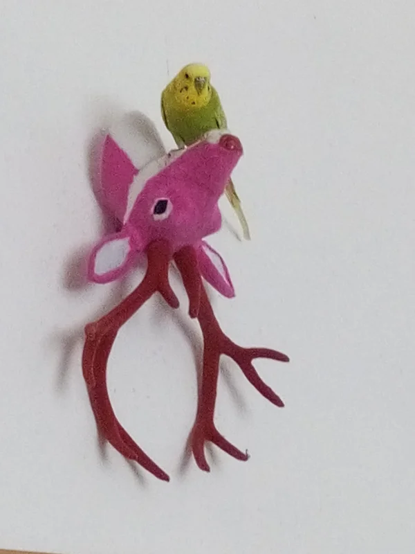Wellensittich-Bild: Der pinke Hirsch hing eigentlich richtig herum an der Wand. Nach diversen Landeanflügen hat er sich auf den Kopf gestellt, was Leo überhaupt nicht stört. 