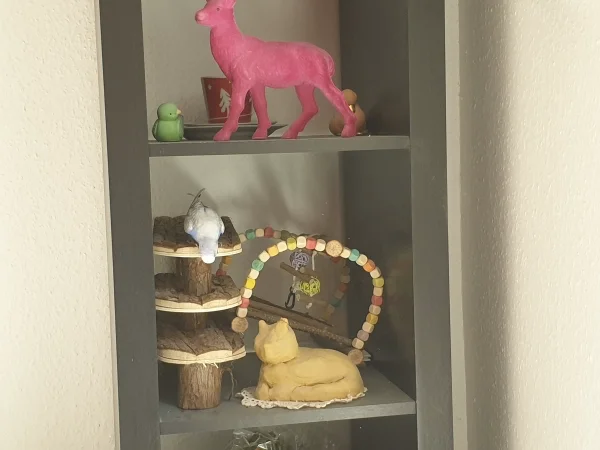 Wellensittich-Bild: Lenchen hat allen Mut zusammengenommen und ist ins Regal in das Spielwarenlager geflogen und knabbert dort am Holz. 
