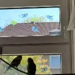 Ratet mal, wer wir sind