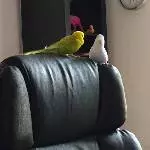 Darf ich dir näher kommen?