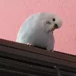 Ich kann süß gucken