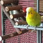 Hallo, was guckst Du?