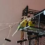 Bert-ich habe Hunger!