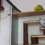 Hallo Lenchen!