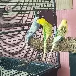 Lenchen hat Hunger