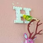 Leo und das H
