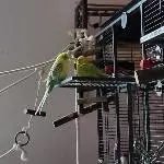 Männergespräche zwischen Bert und Leo