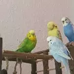 Wir 4 chillen