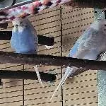 Lenchen und Cindy chillen zusammen