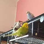 Wir chillen zusammen