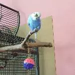 Lenchen guckt um die Ecke