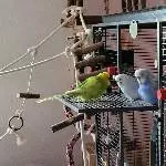 Wir chillen zusammen!