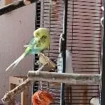 So lange es bequem ist