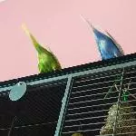 Wer sind wir?