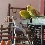 Chillen zu Dritt