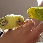 Leo und Bert